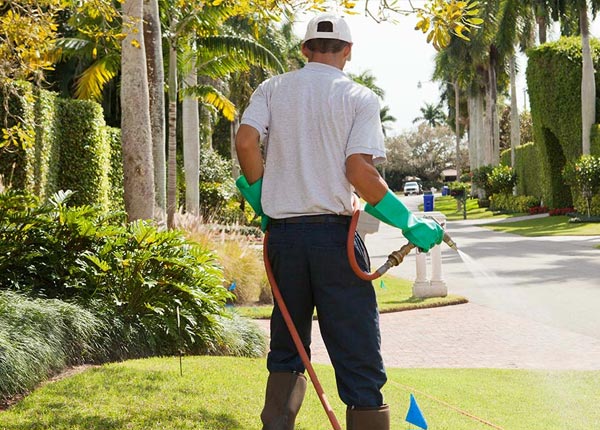 About Waterboro ME Pest Control Pros